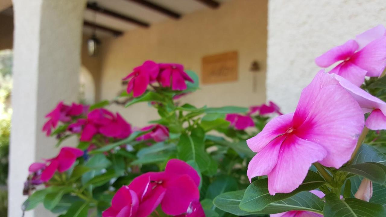 Casa Jetizo Bed & Breakfast Ontinyent Luaran gambar