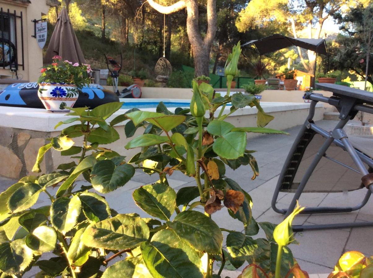 Casa Jetizo Bed & Breakfast Ontinyent Luaran gambar