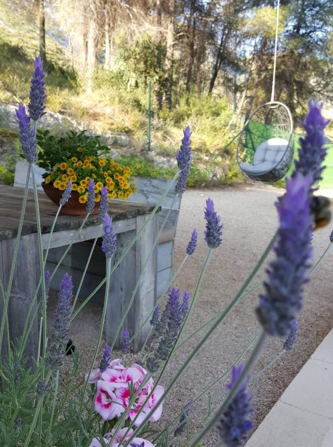 Casa Jetizo Bed & Breakfast Ontinyent Luaran gambar