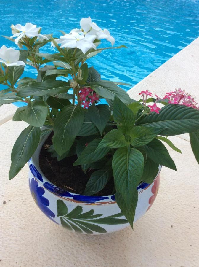 Casa Jetizo Bed & Breakfast Ontinyent Luaran gambar