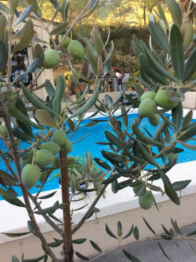 Casa Jetizo Bed & Breakfast Ontinyent Luaran gambar